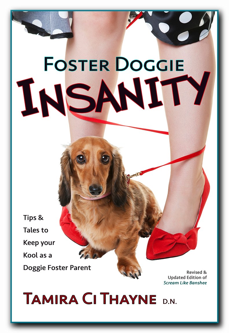 Foster Doggie Insanity