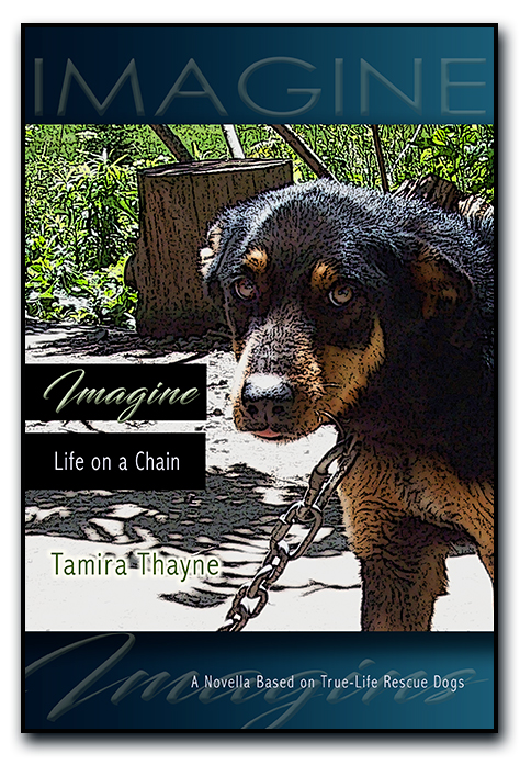 Imagine Life on a Chain