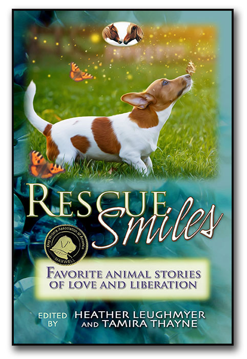 Rescue Smiles